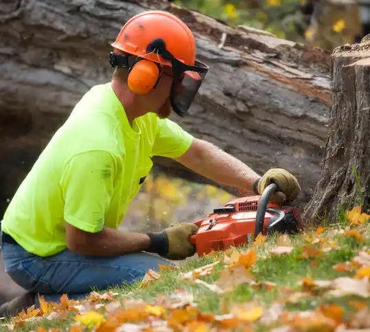 tree services Ruston